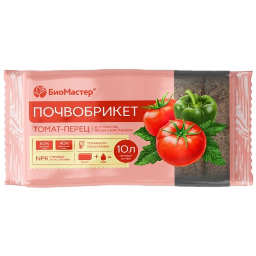 ���� ����������� ��������� ����� � �����, ������ �� 387 ���