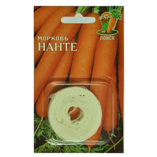 ���� ������ ����� ������� ����� ����� 8 �, ������ �� 51 ���