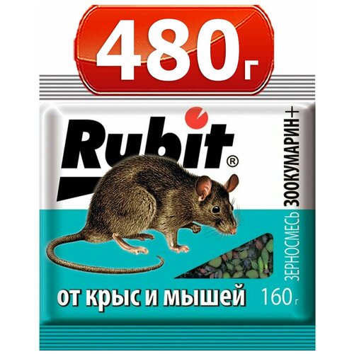 ���� �������� ����� 