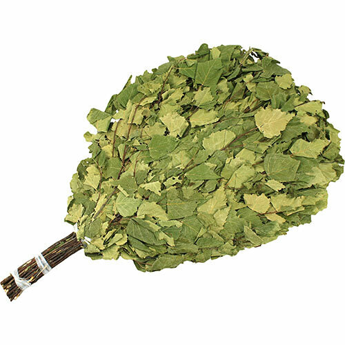 ���� ����� �������� 