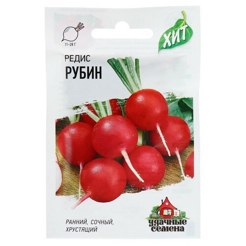 ���� ������ ����� 