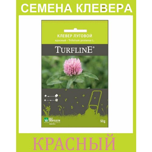     ( )   Trifolium Protense L TURFLINE DLF 0.05 ,   519 