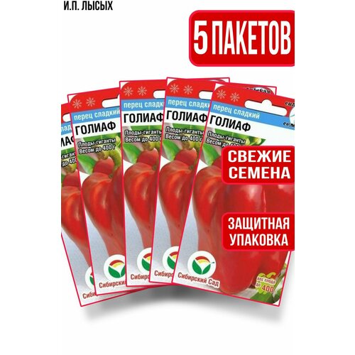 ���� ������ ����� ������ 15��, ������ �� 340 ���