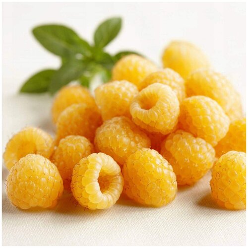 ���� ������ ��������� ������ ������ ���������������, 10 ��, ������ �� 398 ���