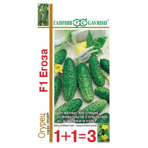 ���� ������ ������ ����� 20�� ������������������ ������ (������) 1+1, ������ �� 78 ���