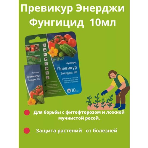 ���� �������� ������� 10��, ������ �� 180 ���