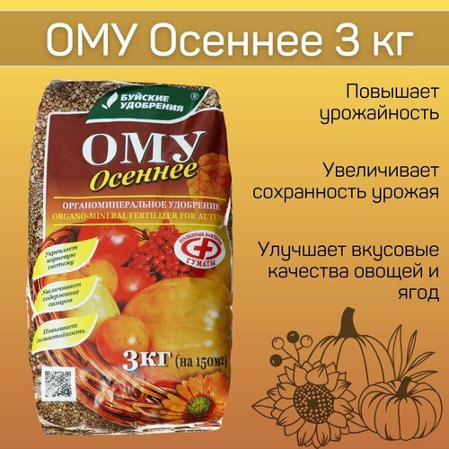 ���� ��� 