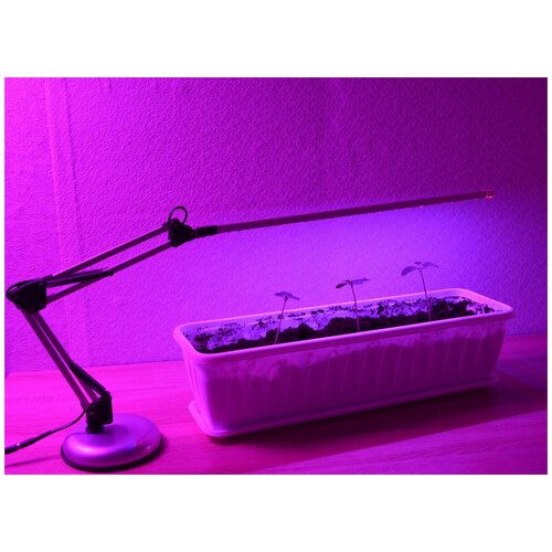 ���� �������������� ���������� 