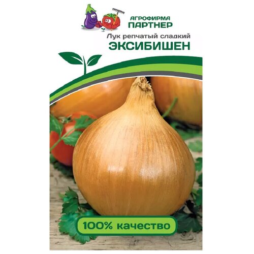 ���� ������� ������ ��� �������� 