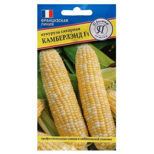 ���� ������ �������� ��. 