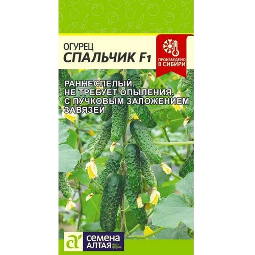 ���� ������ ������ 