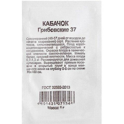 ���� ������ ������� ���������� 37 8�� ������� (������) ����� �����, ������ �� 31 ���