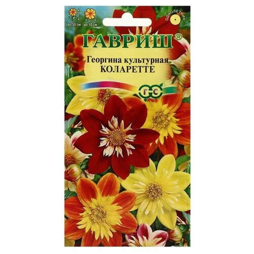 ���� ������ ������ ������ 