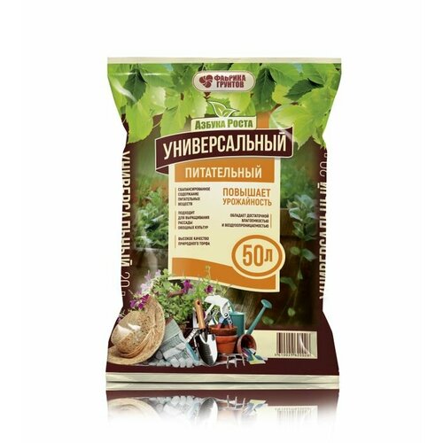 ���� ������ ����� - ���������� 