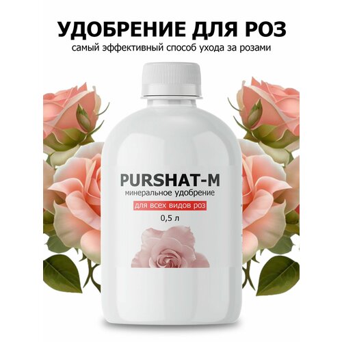 ���� ��������� ������ ��� ��� � ������ 500��, ������ �� 476 ���