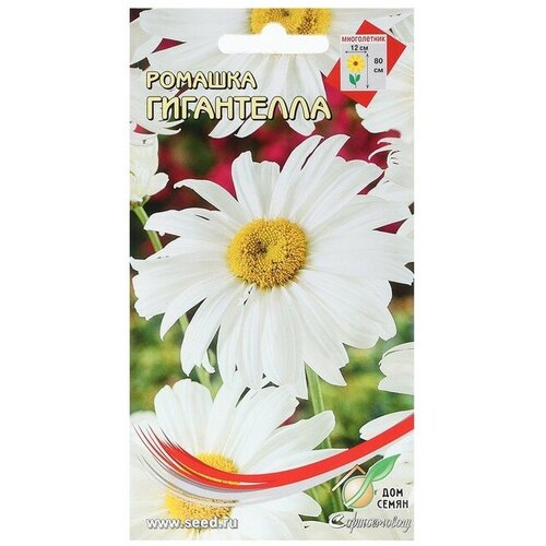 ���� ������ ������� 