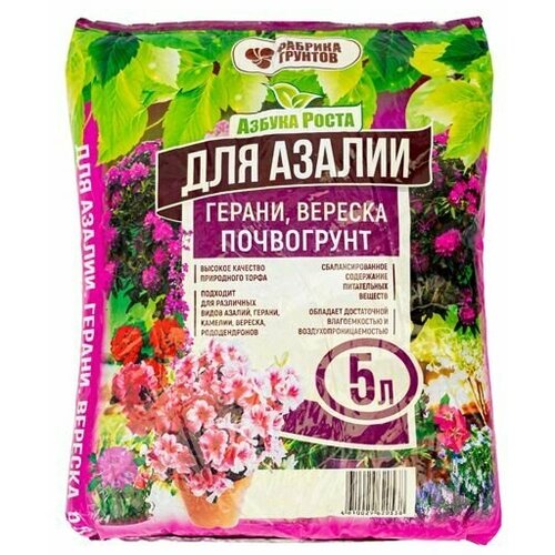 ���� ����� ��� ������, ������ � ������� 5 ������ , ������ �����, ������ �� 255 ���