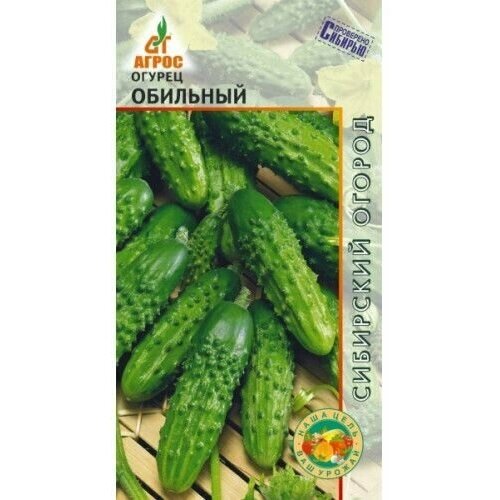 ���� ������ ������ 