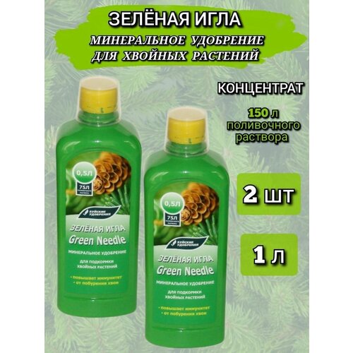 ���� ����������� �������� ����������� ��������� 