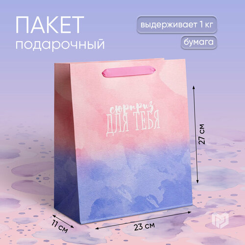 ���� ����� ���������� �������������� �������� ��� �����, 23 ? 27 ? 11,5 ��, ������ �� 193 ���