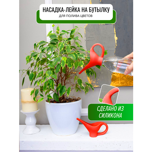 ���� ����� ������� ��� �������, 1��, ������ �� 308 ���