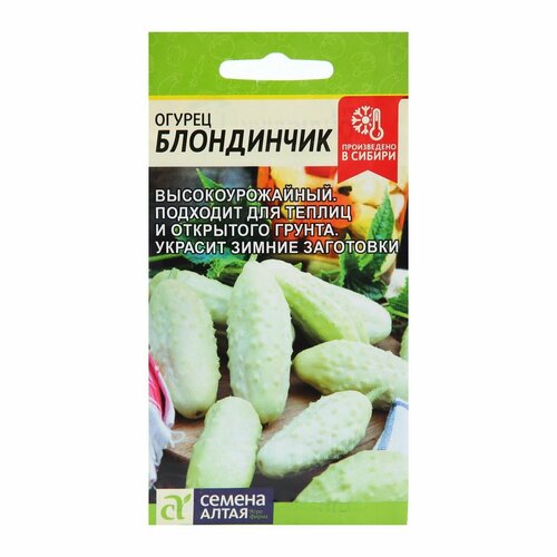 ���� ������ ������ 