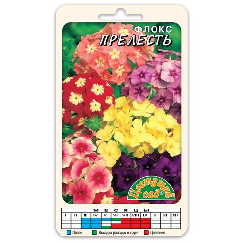 ���� ������ �������� ��� 