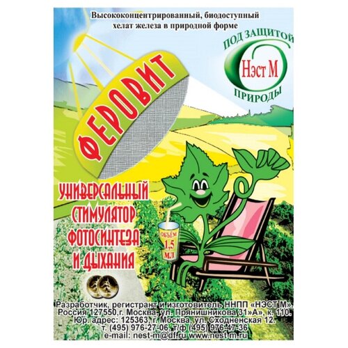 ���� ��������� ���� � 