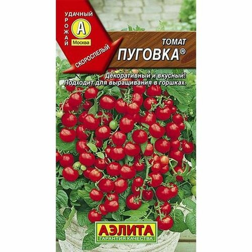 ���� ������ ����� ������� (�����������), �����������, (������) 20��, ������ �� 43 ���