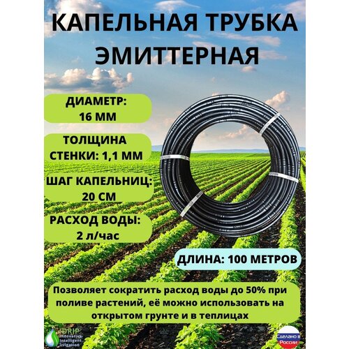 ���� ����� ������ ��� ���������� ������ ���������� 100 ������, ������� 16 ��, ������� ������ 1,1 ��, ��� ��������� 20 ��. ��������� (�����) 2 ����� � ���, ������ �� 5300 ���