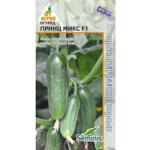 ���� ������ ������ 