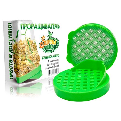 ���� �������� ���� ������������� ������-����, 8 ��, 1 ��., �������, ������ �� 168 ���