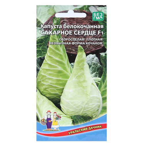 ���� ������ ��������� ������ ������� ������������ �������� ������ 0.2 �, ������ �� 68 ���