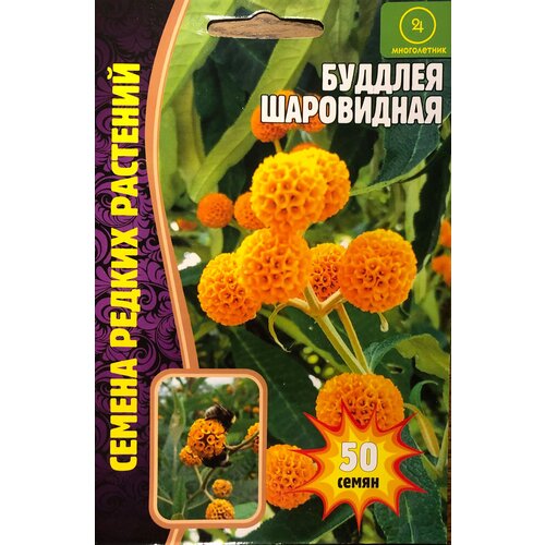 ���� ������ ������� ���������� (50 �����), ������ �� 238 ���