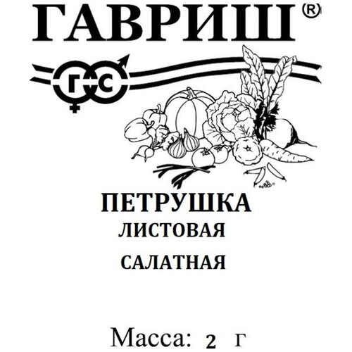 ���� ������. �������� �������� 