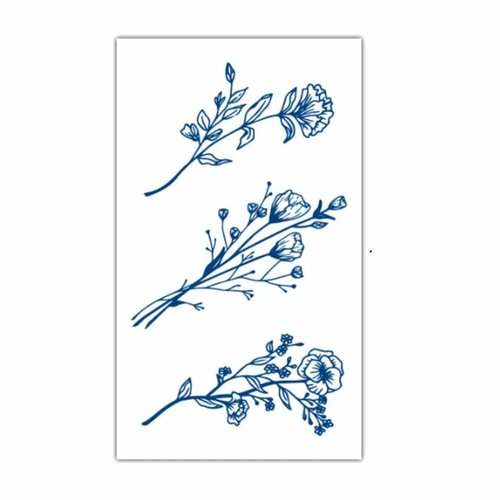 ���� ��������� ����, ���������� ���������� 