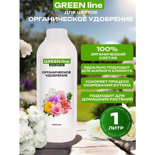  GREEN line    ,  , , , ,   1000 ,   371 