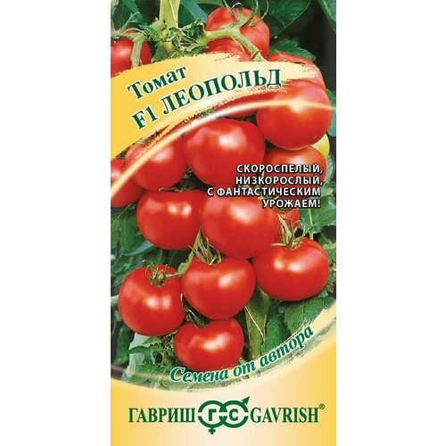 ���� ������ ����� �������� F1 12�� ��� ������ (������), ������ �� 56 ���