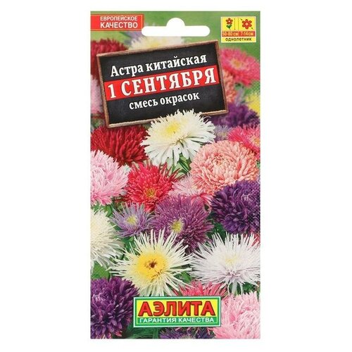 ���� ������ ������ ����� 