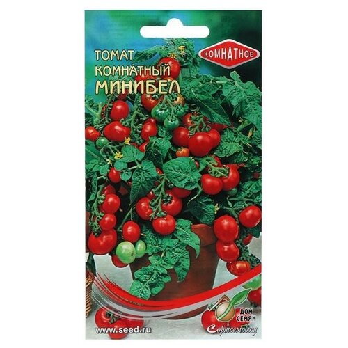 ���� ������ ����� ����. �������, 15 ��, 5 ��������, ������ �� 350 ���