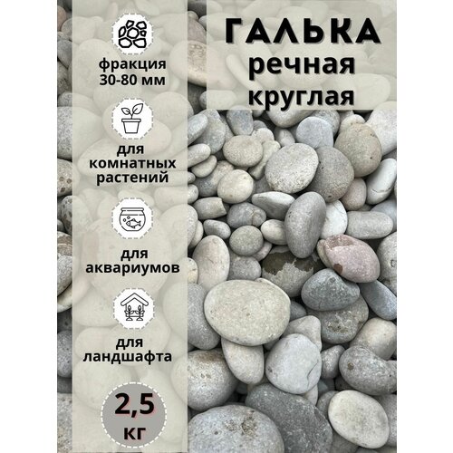 ���� ������ ������ ������� 30-80 �� (2.5��) ��� ���� � ������� � ������������ �������, ������ �� 821 ���