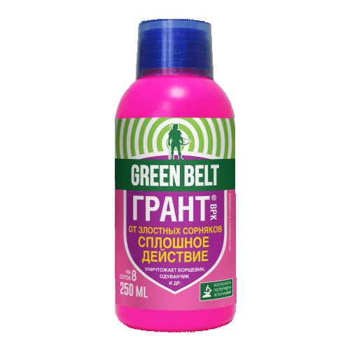 ���� ���� ���� ����� �� �������� 250�� 1 ��, ������ �� 890 ���