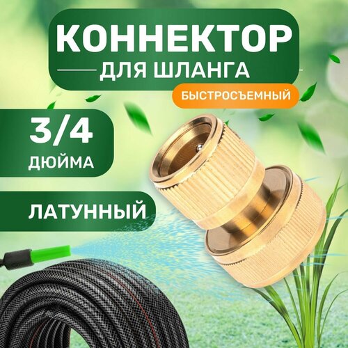 ���� ��������� �������� ������ ������ / ������ ������������� / ������� ��� ������ 3/4 ���������� ��� ������, ������ �� 564 ���