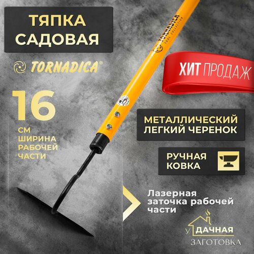 ���� ����� ������� ����������, ������ �� 2000 ���