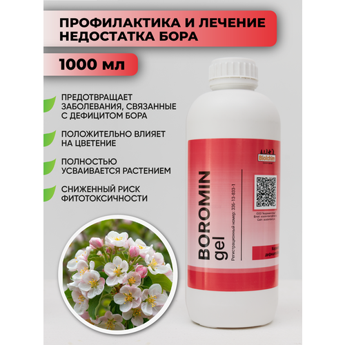 ���� ��������� �� �������� ���� ������� ���� 1�, ������ �� 2420 ���