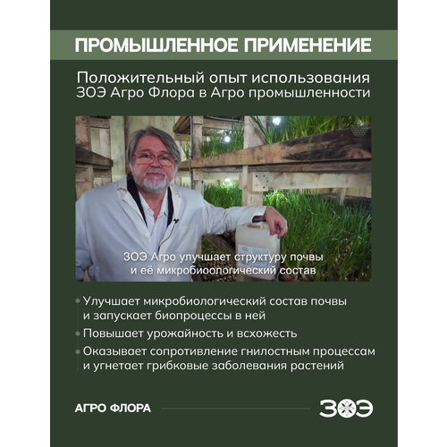     (ZOE)   ,     .    ,   5,   3990 