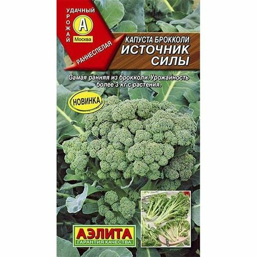 ���� ������ ������� �������� �������� ����, �����������, (������) 0,3�, ������ �� 71 ���