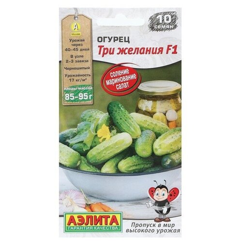 ���� ������. ������ 