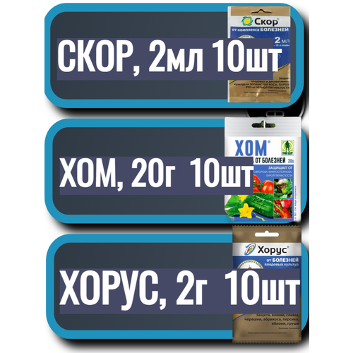 ���� ����� ���������� ��� ������� � ���� 