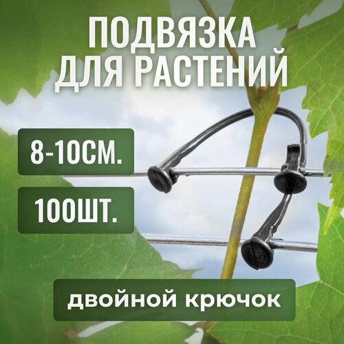 ���� �������� ��� ��������, ��������� ��� ������ �������, ������ ������ �� ��������� 